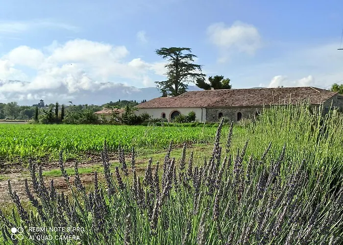 La Bohême